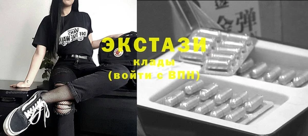 твердый Тайга