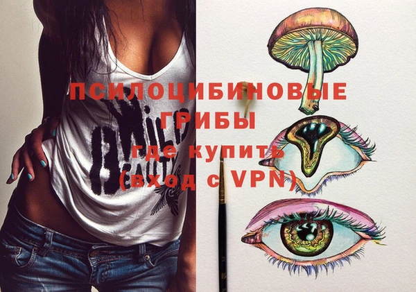 бошки Арсеньев