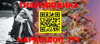 дживик Лесосибирск