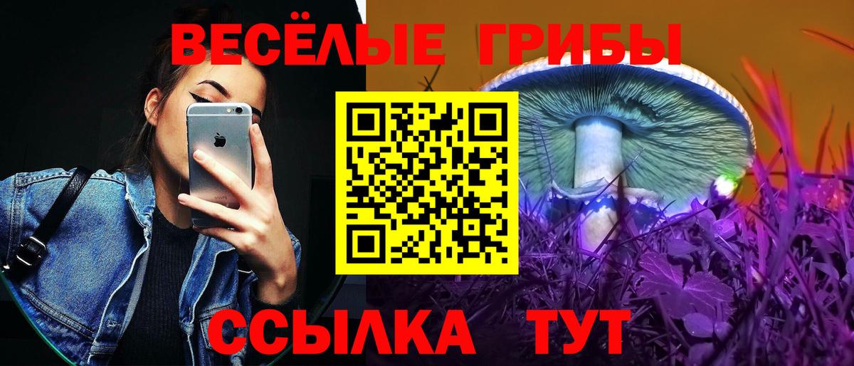 Коломна  Галлюциногенные грибы MAGIC MUSHROOMS  купить   Вход с VPN 