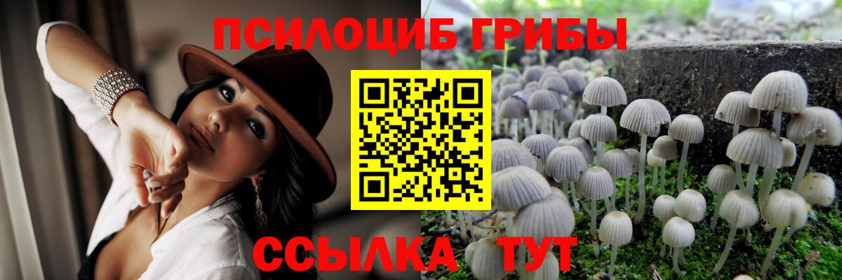 Галлюциногенные грибы мицелий Коломна